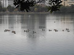 のんびりしたい