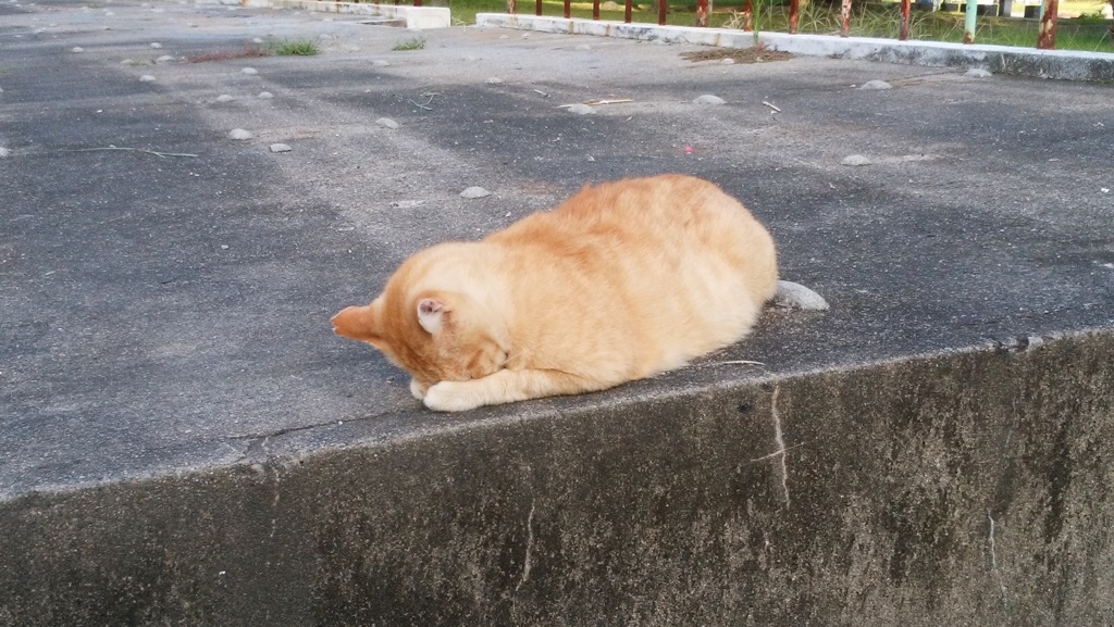 ボク生きていく気力がない