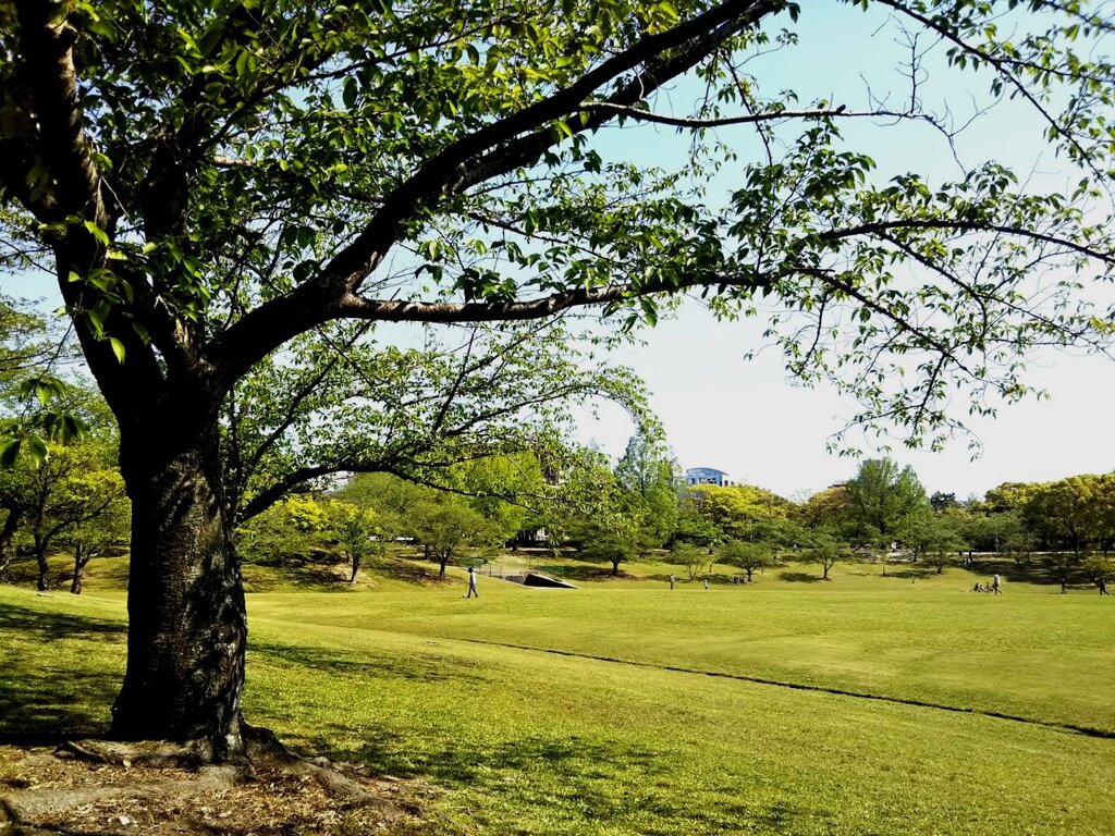 緑の公園