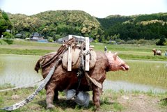 猪の案山子　向こうに見えるのもすべて案山子