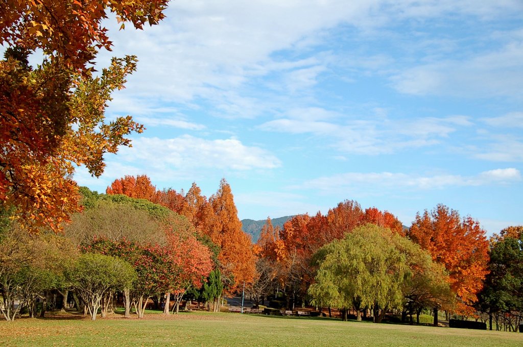 外国みたいな風景