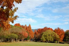 外国みたいな風景