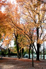 近くの公園にて