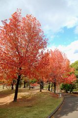 近くの公園にて