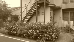 昭和のアパート