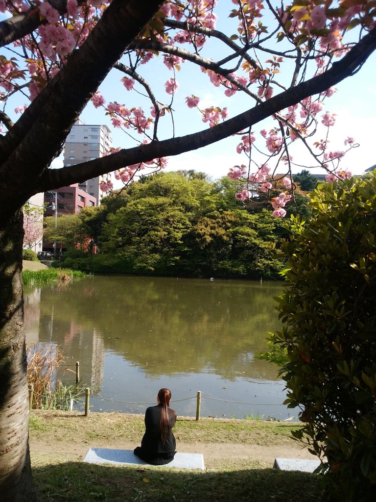 八重桜と女性