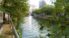 都市の小さな川