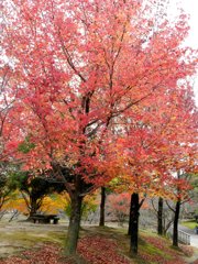 福岡県春日公園
