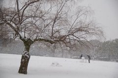 雪の公園