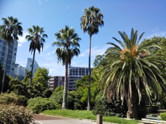 都会のど真ん中