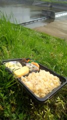 うららかな日は川の土手でお弁当