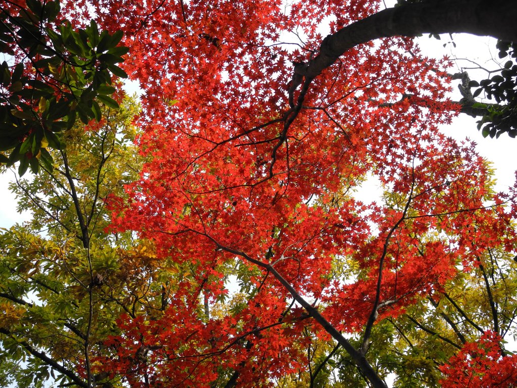 春日公園にて