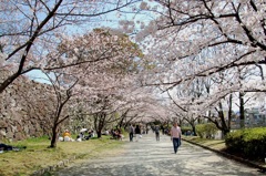 福岡市舞鶴公園