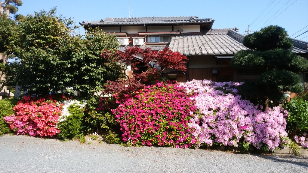 つつじのお家