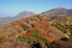 大分県久住山　道中