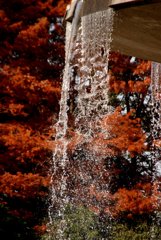 紅葉の公園にて