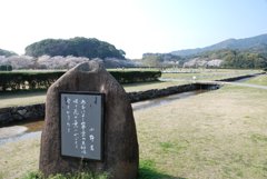 あをによし寧楽（なら）の京師（みやこ）は
