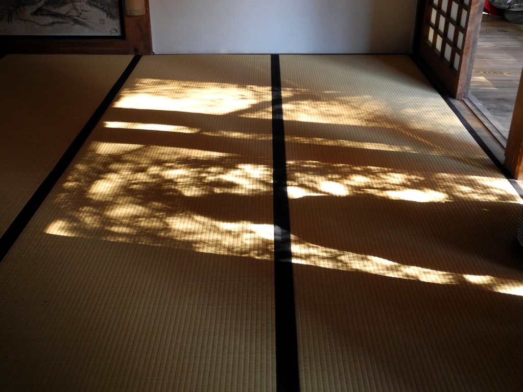 冬日差し