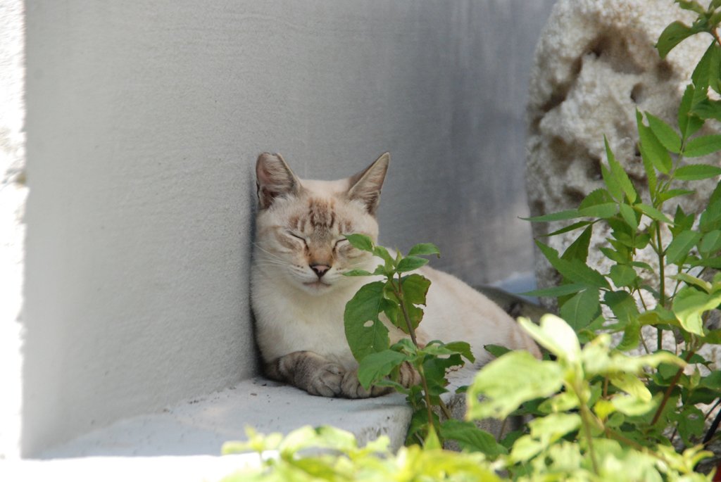 眠たい～