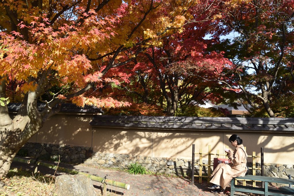 紅葉の一幕