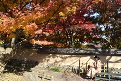 紅葉の一幕