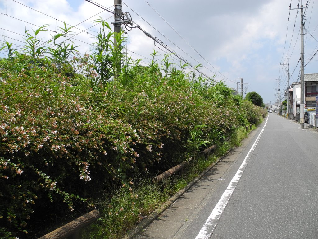 線路沿い