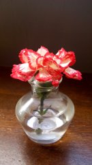 喫茶店の机の上に－－お花が