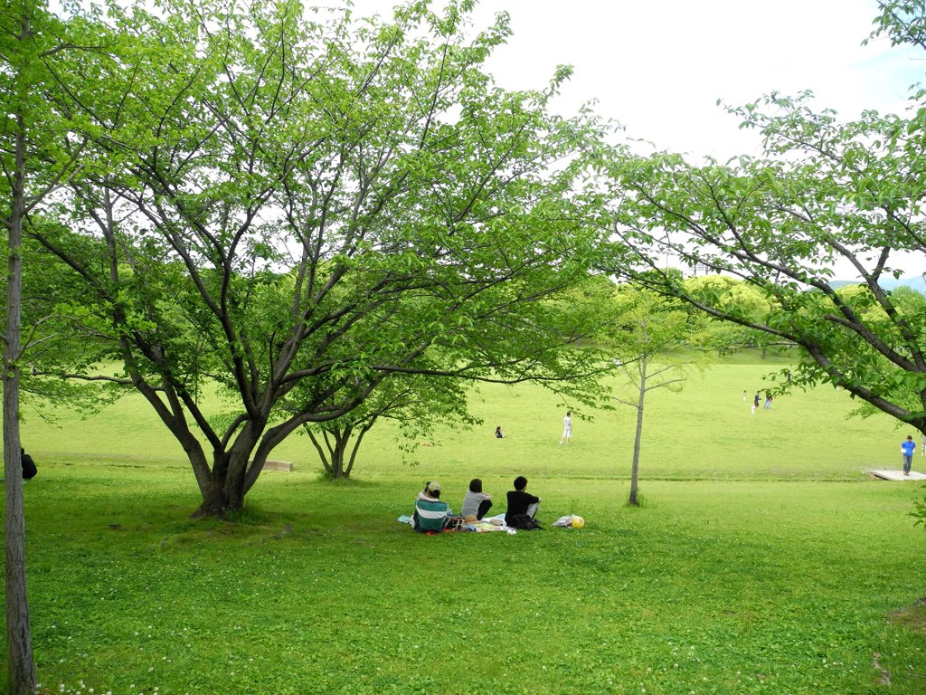 緑の公園