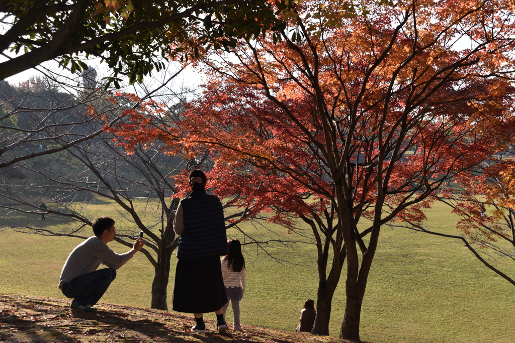 家族で紅葉楽しむ