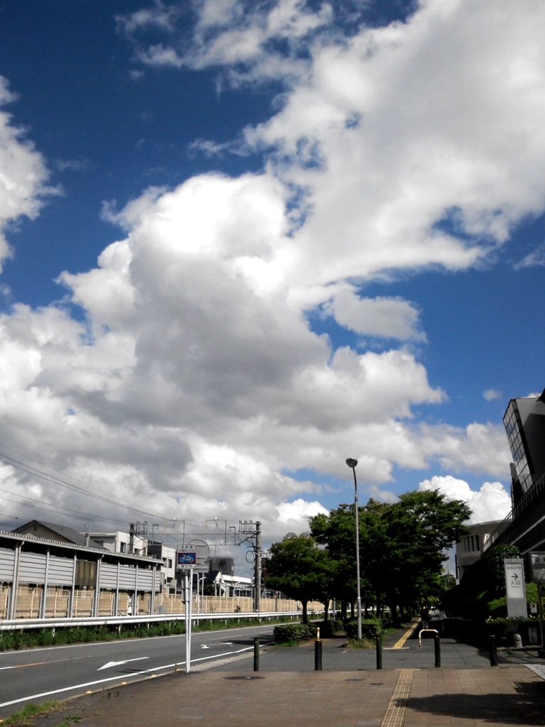 夏の空