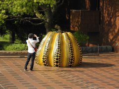 草間弥生を撮る