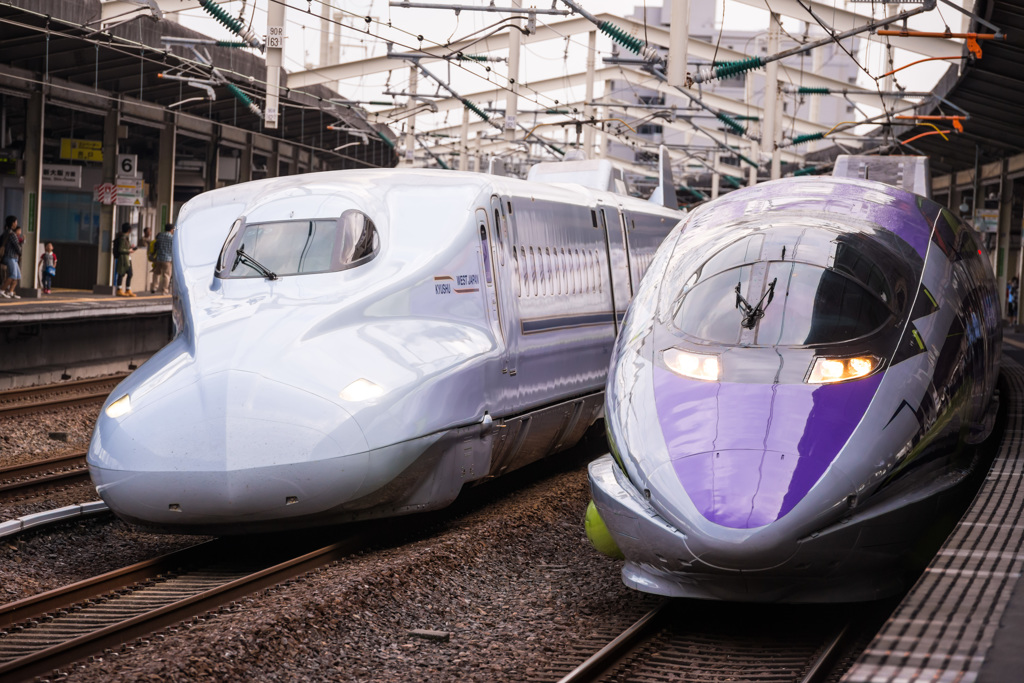 500 TYPE EVA さくら退避