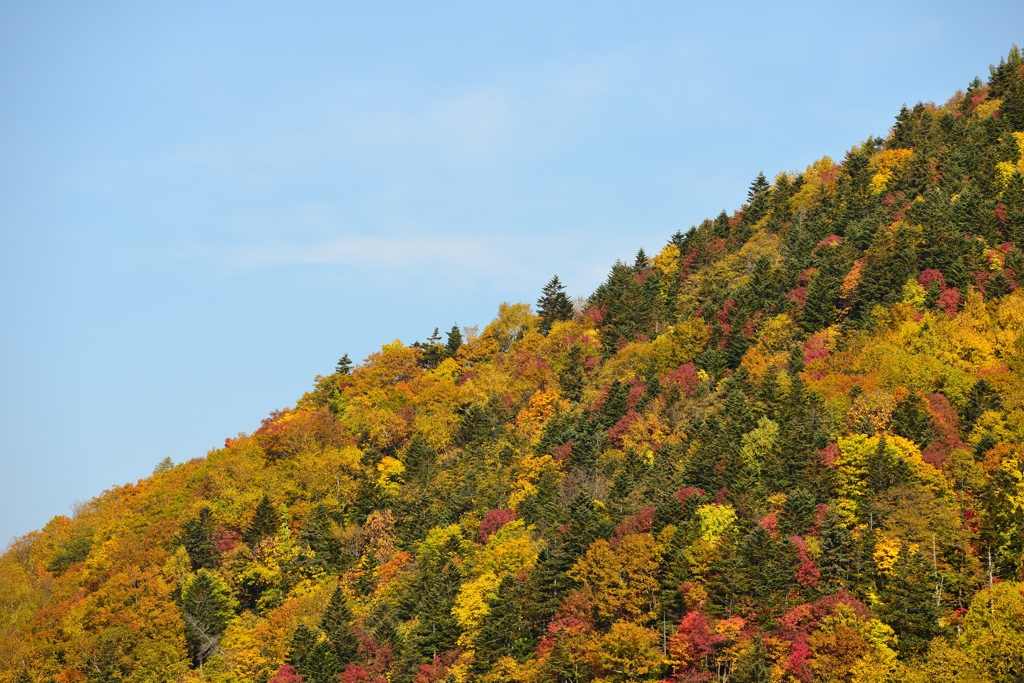 紅葉の山