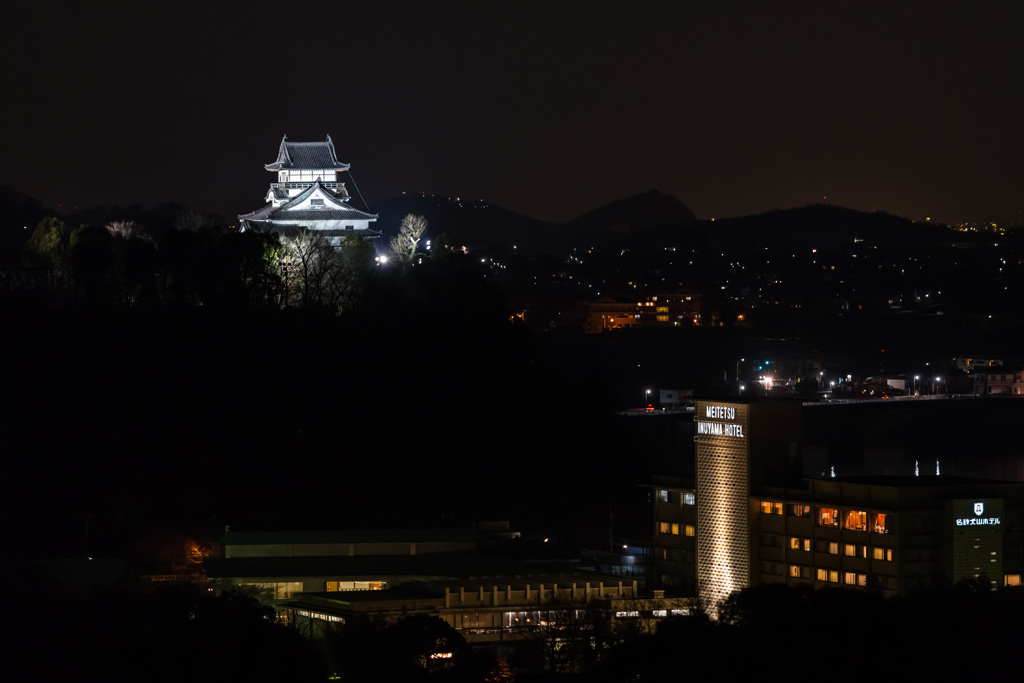 犬山成田山夜景その１