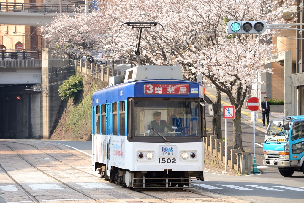 路面電車と桜