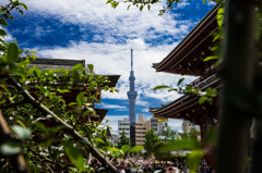 浅草寺から望むスカイツリー