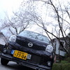 春に囲まれて