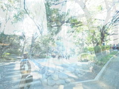 想