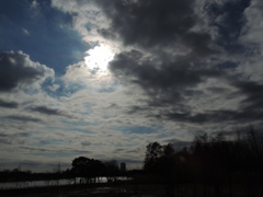DSCN1498