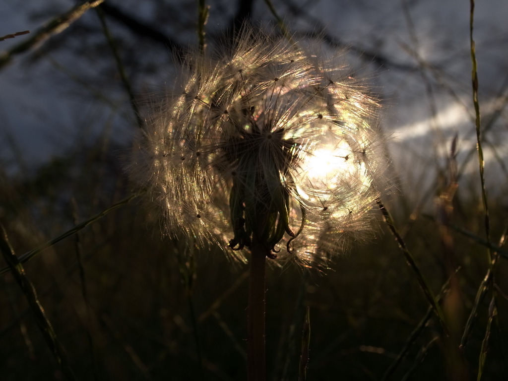 watage