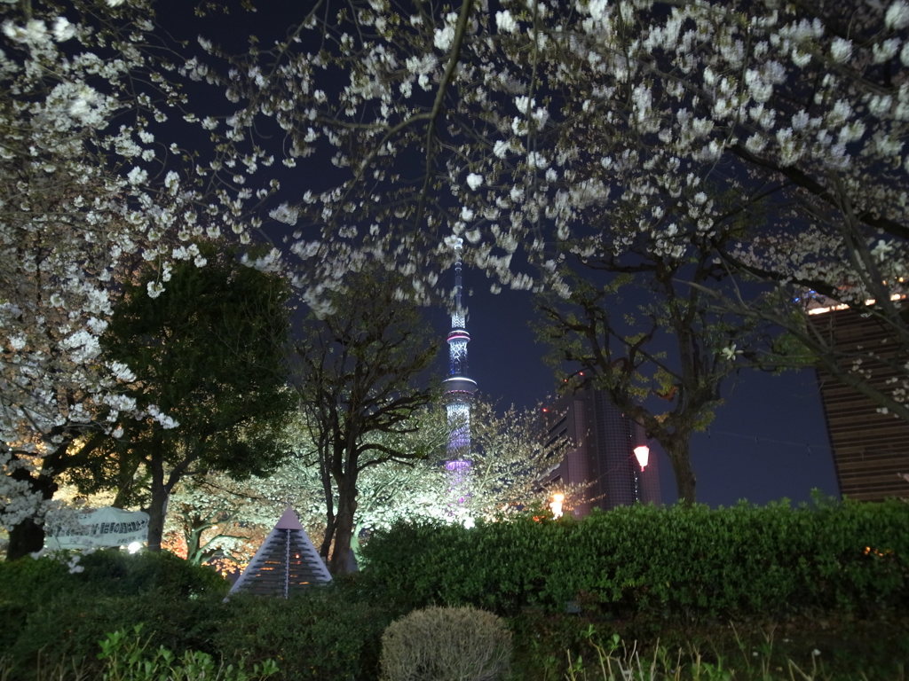 tmp_R00124581935931337