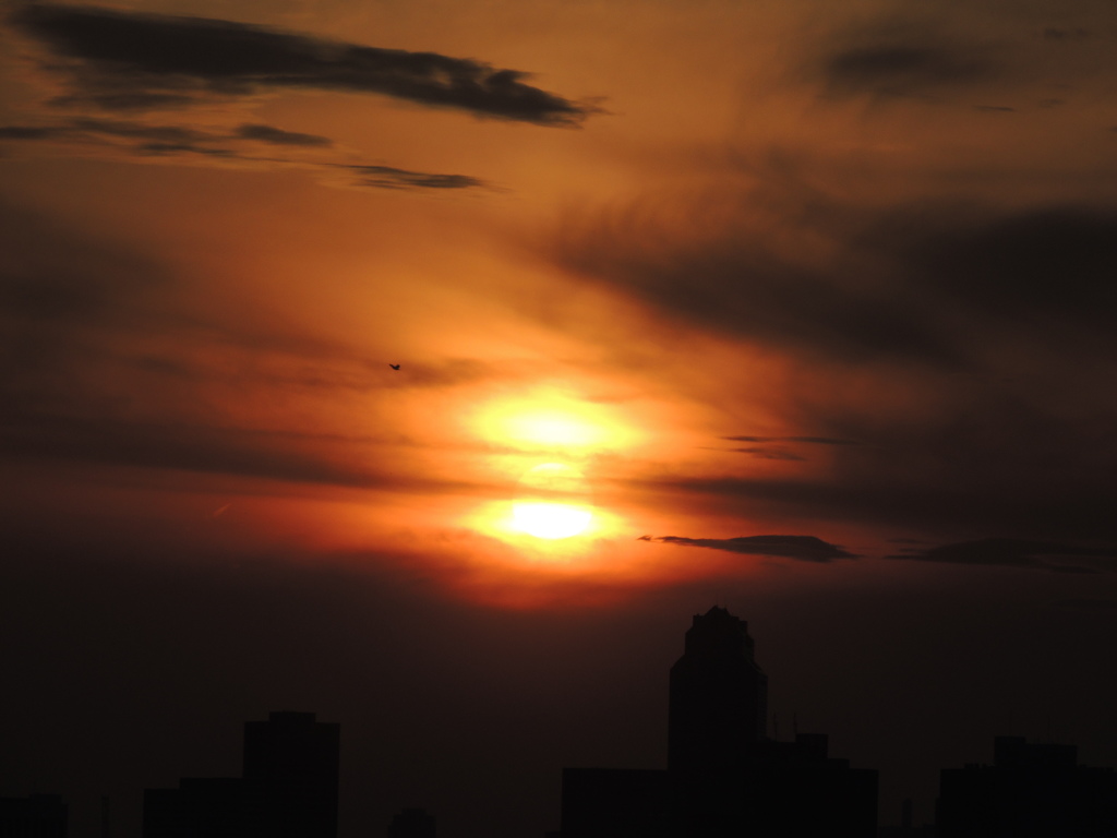tmp_DSCN1652-298625233