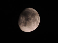 DSCN0544