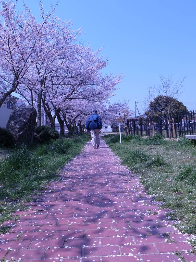 道