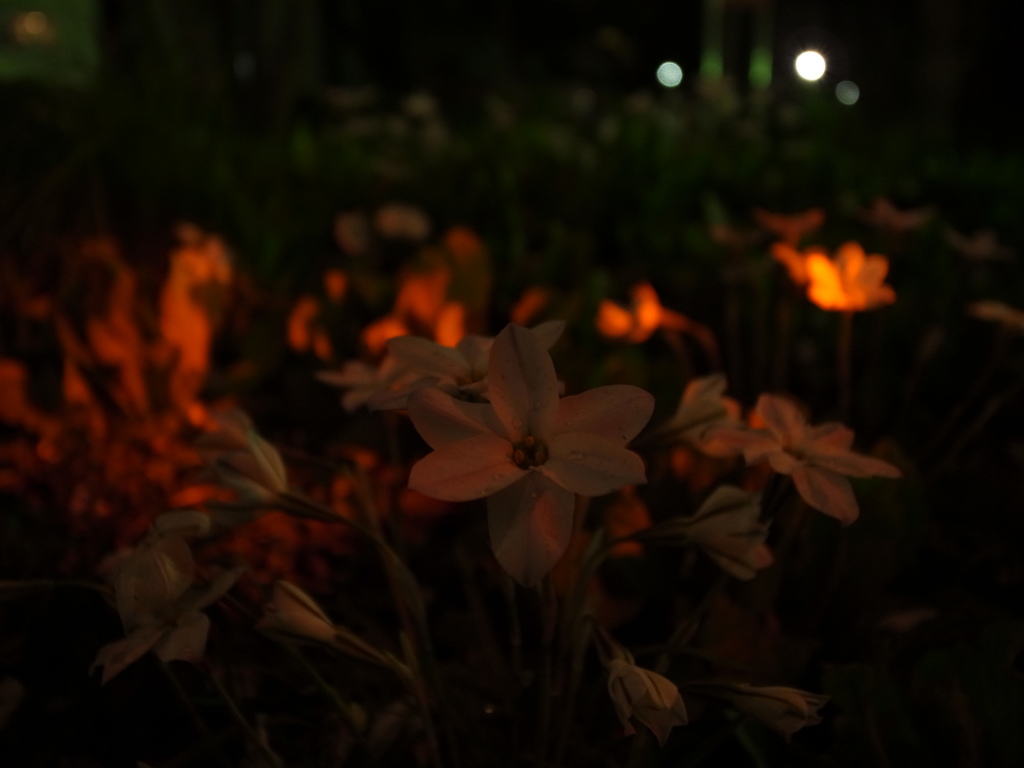 tmp_R00125161749677817