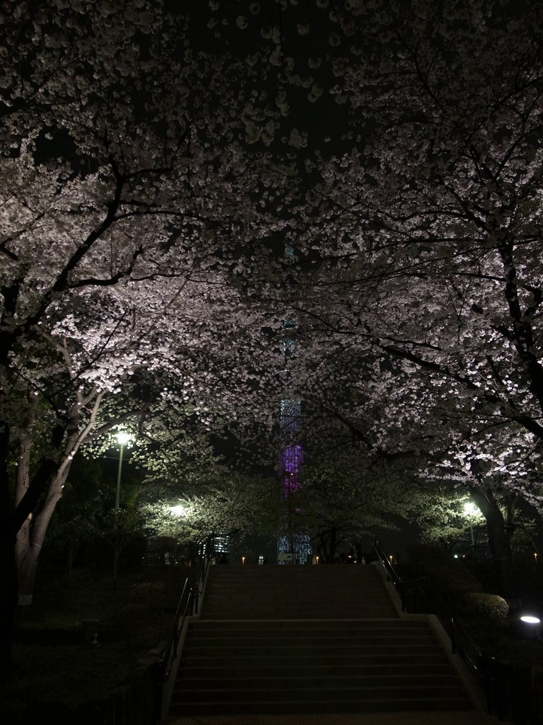 tmp_R0012507-418306115