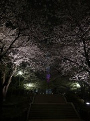 tmp_R0012507-418306115