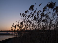 R0011022