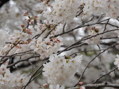 DSCN0402