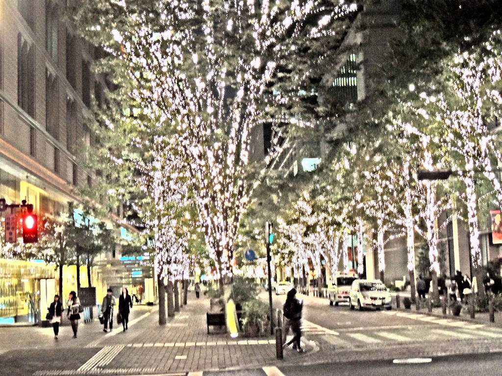 DSCN1312